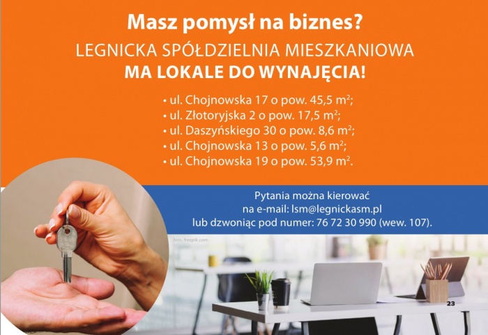 Lokale do wynajęcia